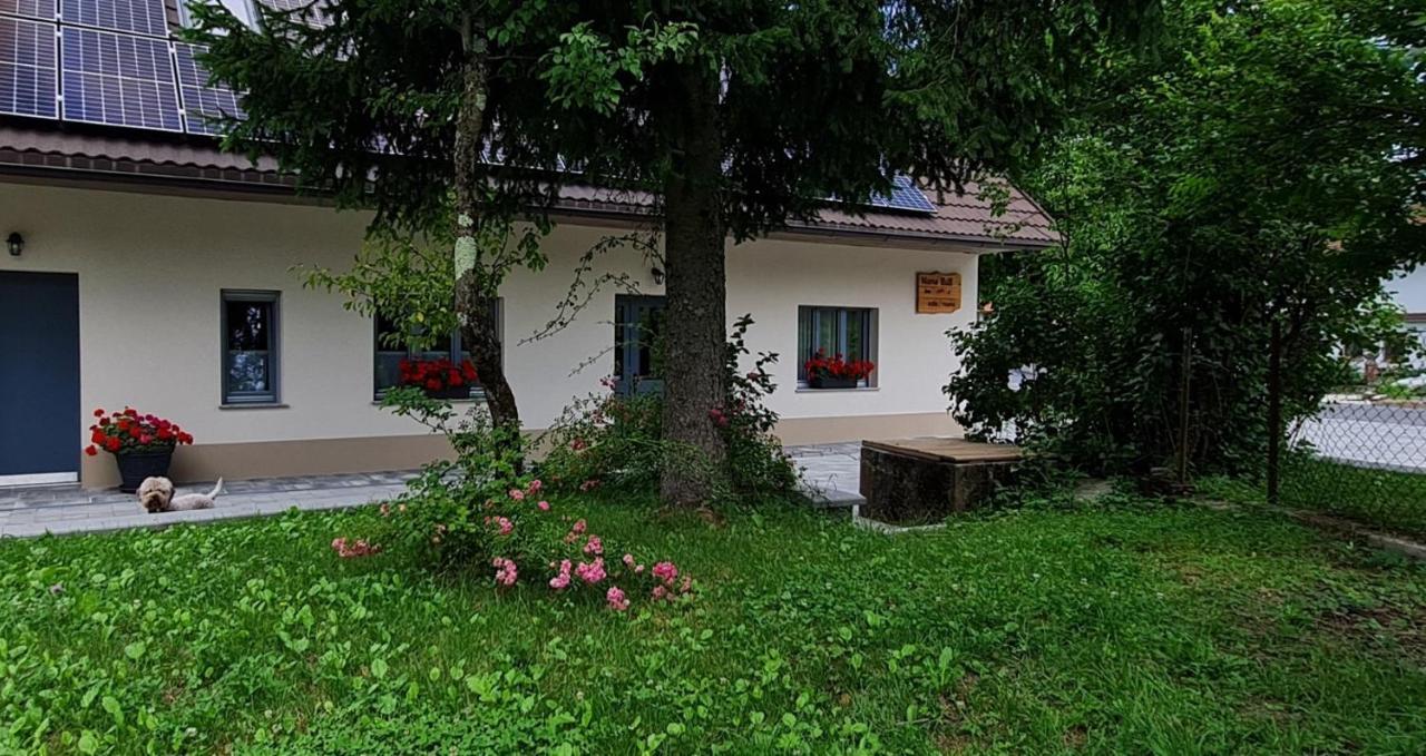 Bed and Breakfast Nona Bb Postojna Exterior foto